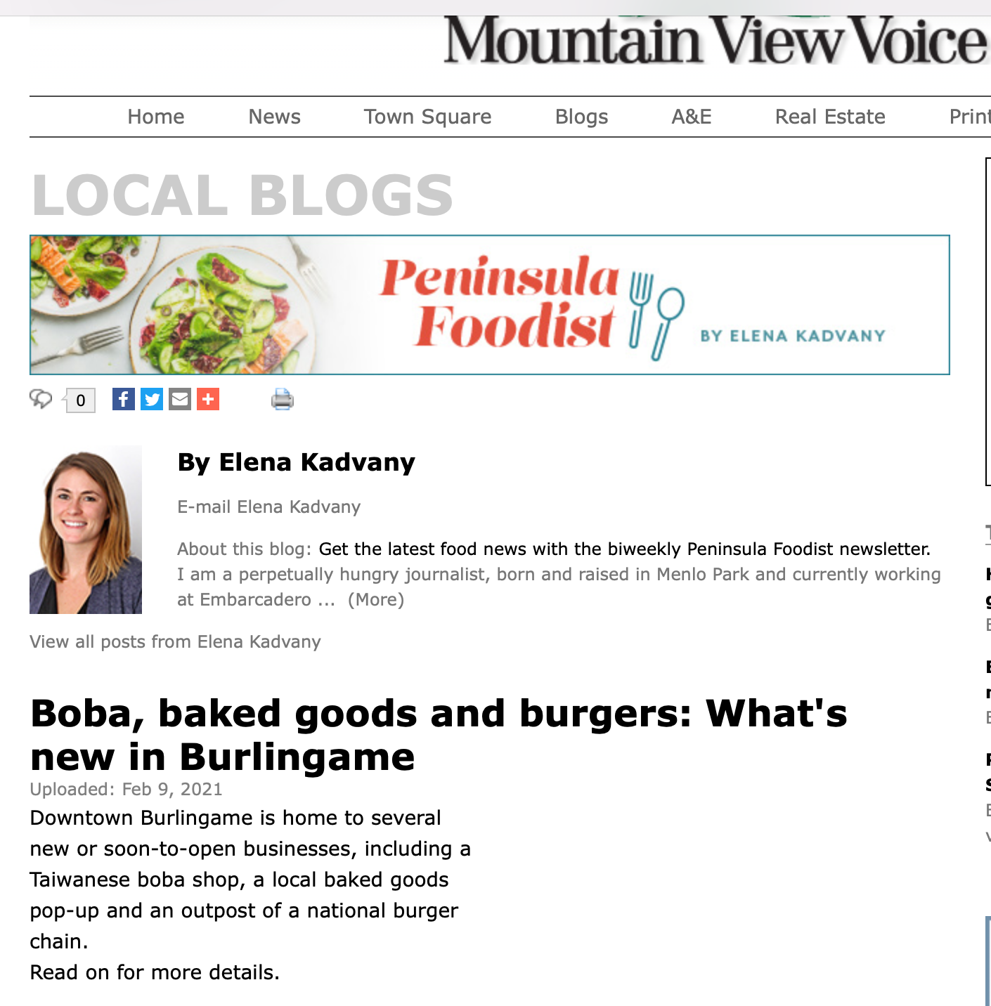 Mountain View Voice